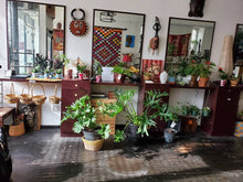 Load image into Gallery viewer, SandalWood Incense